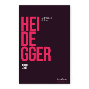 Heidegger