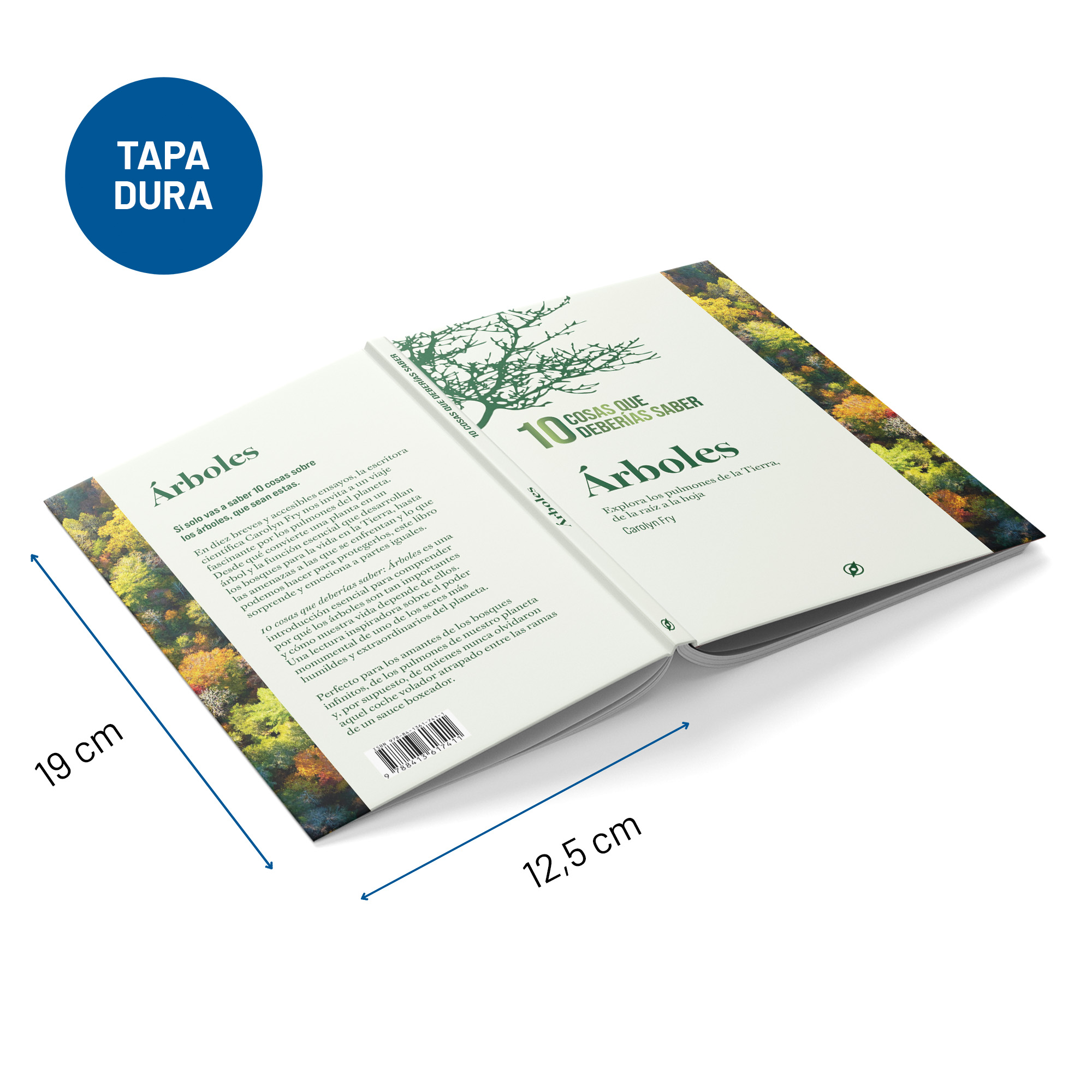 10 cosas que deberías saber sobre los árboles - Imagen 2